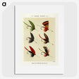 1-18_Favorite-Flies-and-Their-History_picture