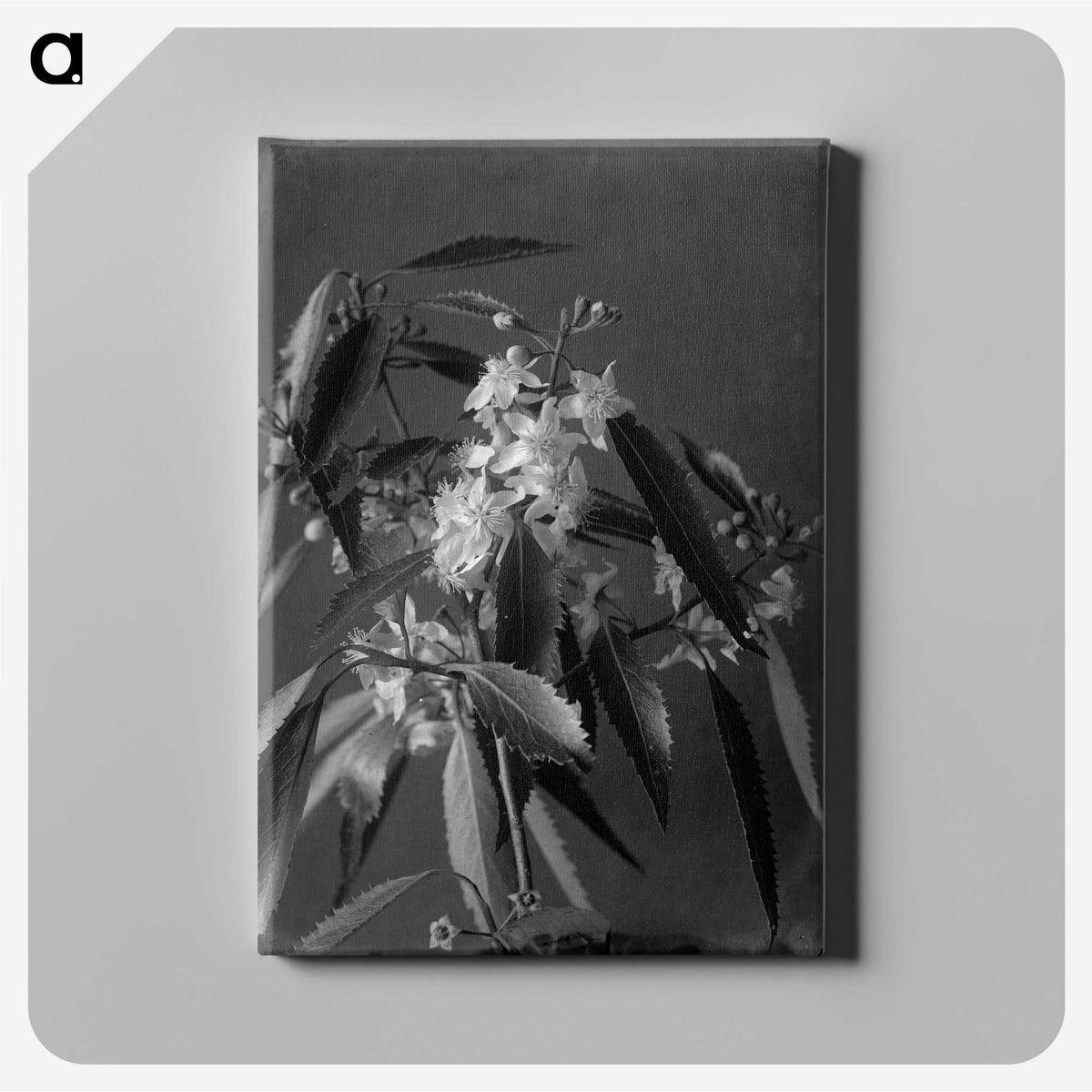 1-18_Frederick-Charles-Brockett_canvas