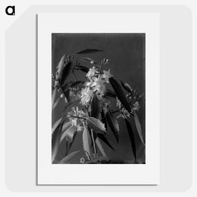 1-18_Frederick-Charles-Brockett_picture
