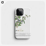 1-18_Georg-Dionysius-Ehret_phone