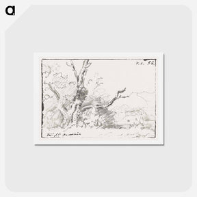 アートポストカード-Boomstudie
 - ジョージアス ヤコブス ヨハネス ファン オス Postcard.