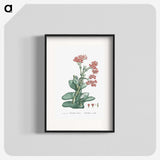 1-18_Histoire-des-Plantes-Grasses_blk