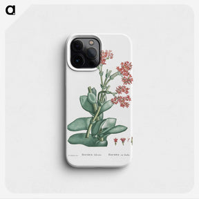 1-18_Histoire-des-Plantes-Grasses_phone