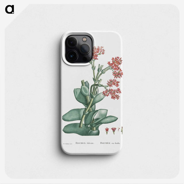 1-18_Histoire-des-Plantes-Grasses_phone