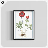 1-18_Hortus-Romanus-Botanical-Plates_blk-crop