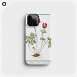 1-18_Hortus-Romanus-Botanical-Plates_phone