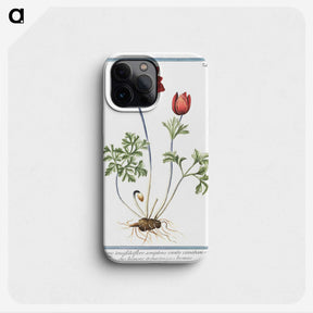 1-18_Hortus-Romanus-Botanical-Plates_phone