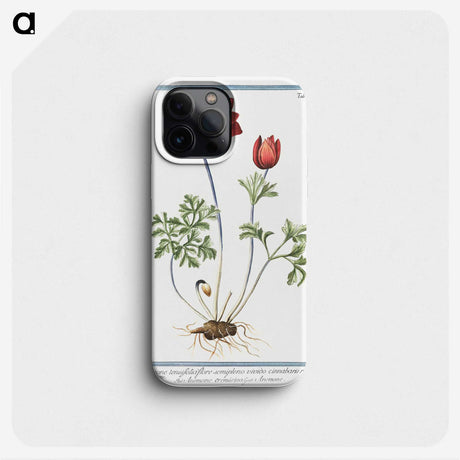 1-18_Hortus-Romanus-Botanical-Plates_phone
