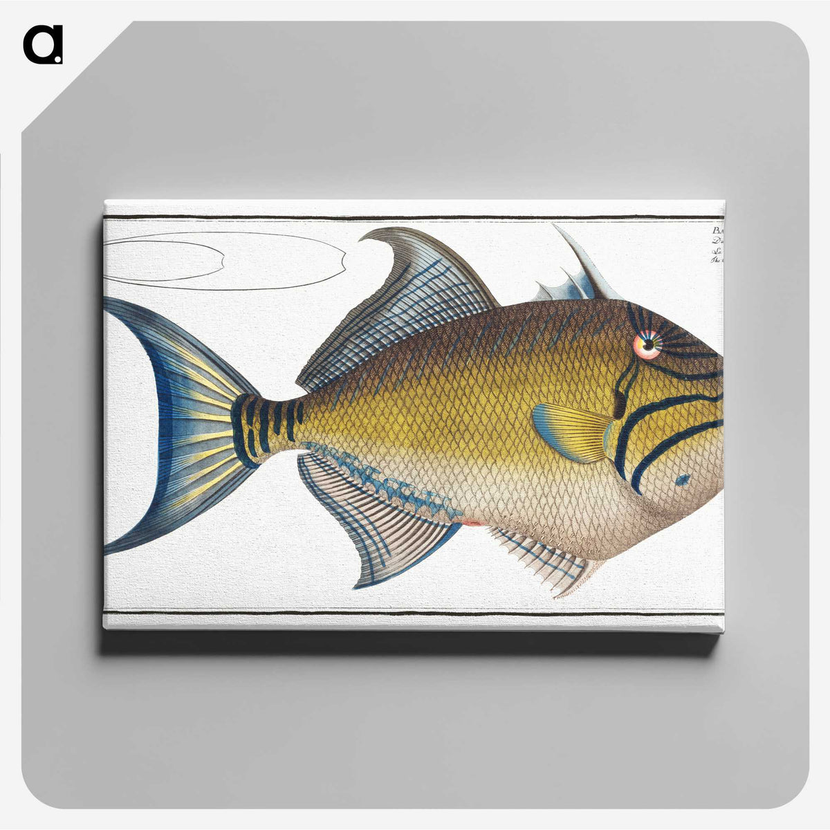 1-18_Ichtyologie-ou-Histoire-naturelle_canvas