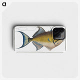 1-18_Ichtyologie-ou-Histoire-naturelle_phone