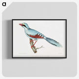 1-18_Indian-Zoology_blk-crop
