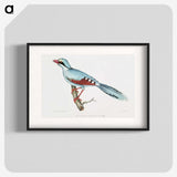 1-18_Indian-Zoology_blk