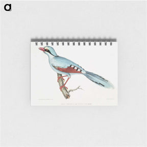 1-18_Indian-Zoology_memo