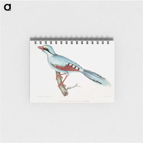 1-18_Indian-Zoology_memo