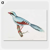 1-18_Indian-Zoology_picture-crop