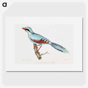 1-18_Indian-Zoology_picture