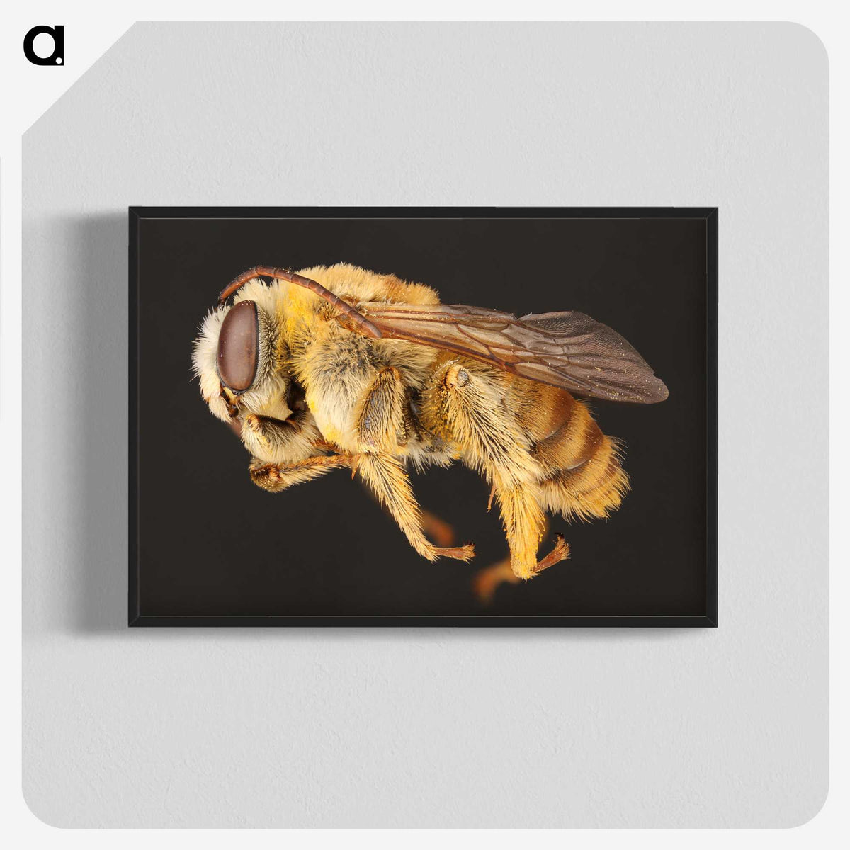 1-18_Insects-Unlocked-Project_blk-crop