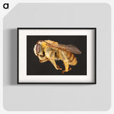 1-18_Insects-Unlocked-Project_blk