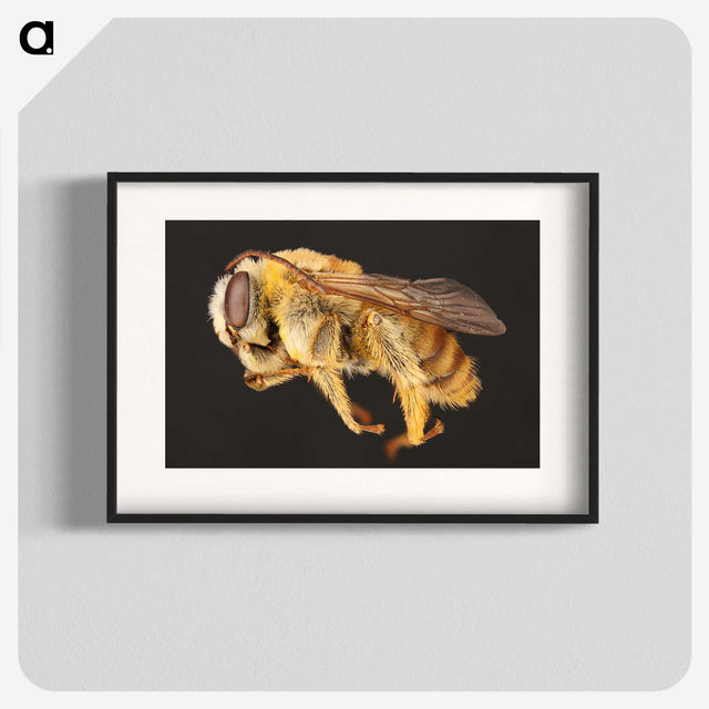 1-18_Insects-Unlocked-Project_blk