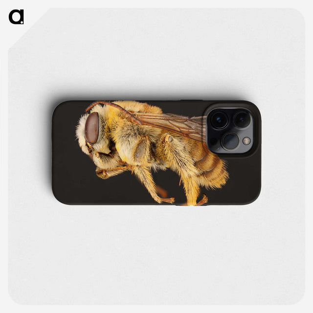1-18_Insects-Unlocked-Project_phone