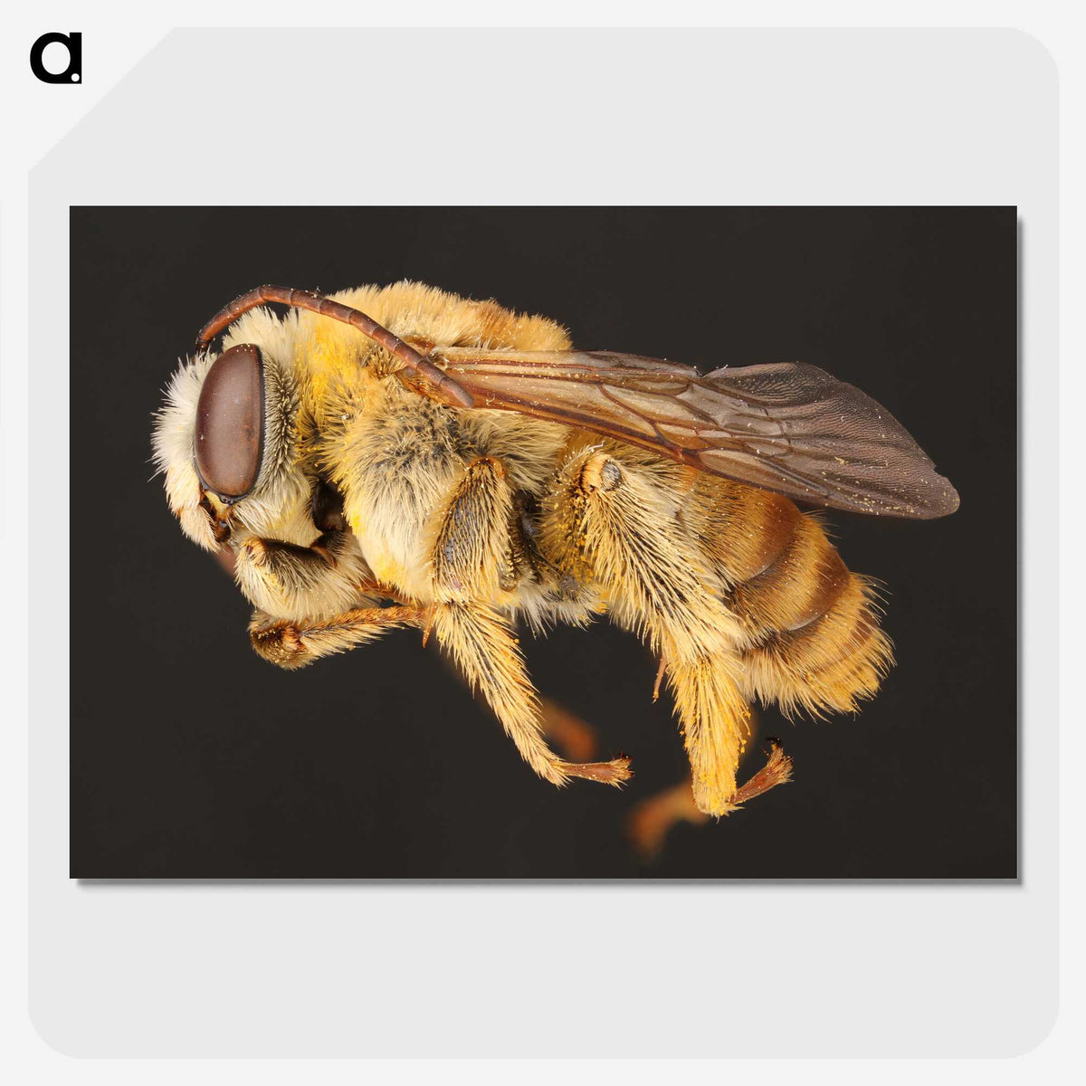 1-18_Insects-Unlocked-Project_picture-crop