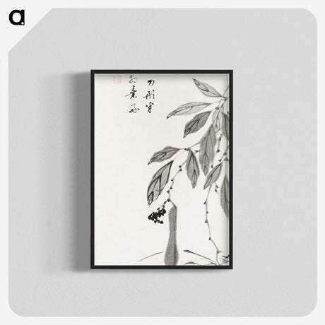 1-18_Ito-Jakuchu_blk-crop