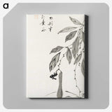 1-18_Ito-Jakuchu_canvas