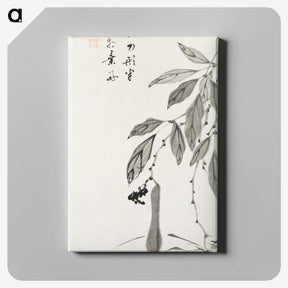 1-18_Ito-Jakuchu_canvas