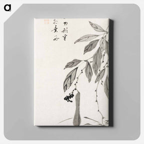 アートパネル-Bean Vine
 - 伊藤若冲 Canvas.