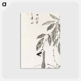 アートポストカード-Bean Vine
 - 伊藤若冲 Postcard.