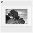 1-18_James-Walter-Chapman-Taylor_picture