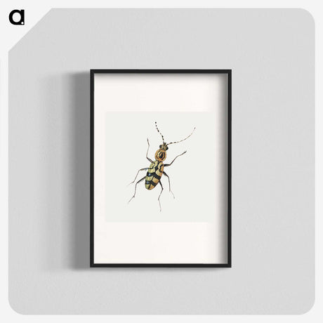 1-18_Jan-Van-Kessel_blk