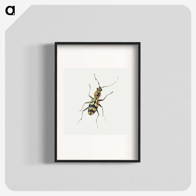 1-18_Jan-Van-Kessel_blk