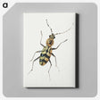 1-18_Jan-Van-Kessel_canvas