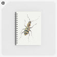 1-18_Jan-Van-Kessel_memo