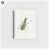 1-18_Jan-Van-Kessel_memo