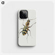 1-18_Jan-Van-Kessel_phone