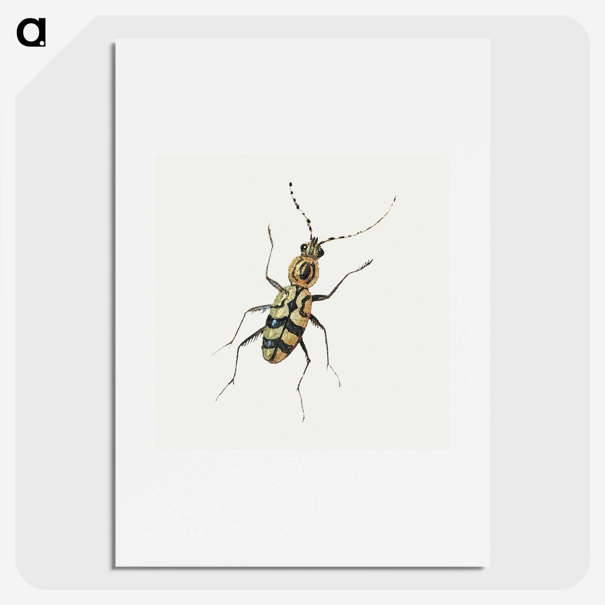 1-18_Jan-Van-Kessel_picture