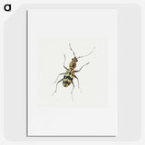 1-18_Jan-Van-Kessel_picture