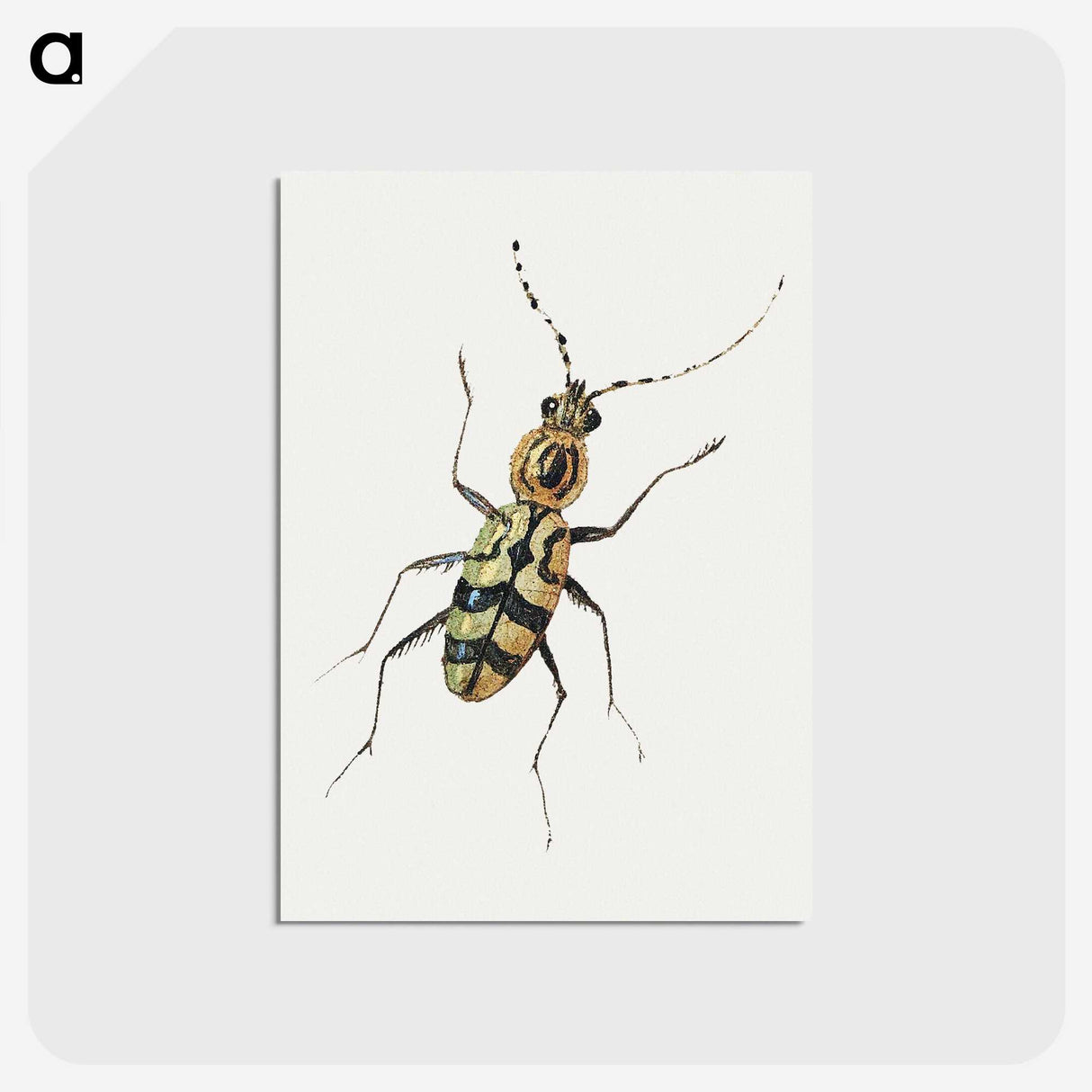 1-18_Jan-Van-Kessel_postcard