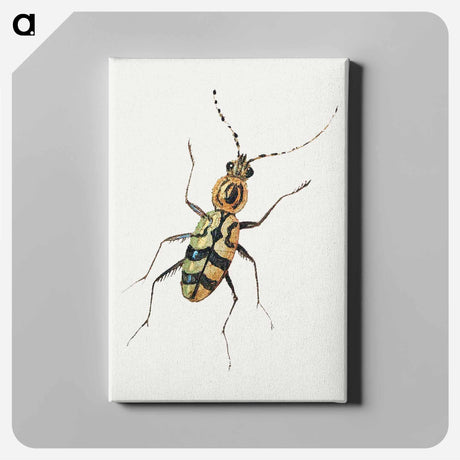アートパネル-Insect from Insects and Fruits
 - ヤン ファン ケッセル Canvas.