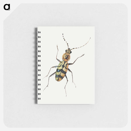 アートメモ帳-Insect from Insects and Fruits
 - ヤン ファン ケッセル Memo.