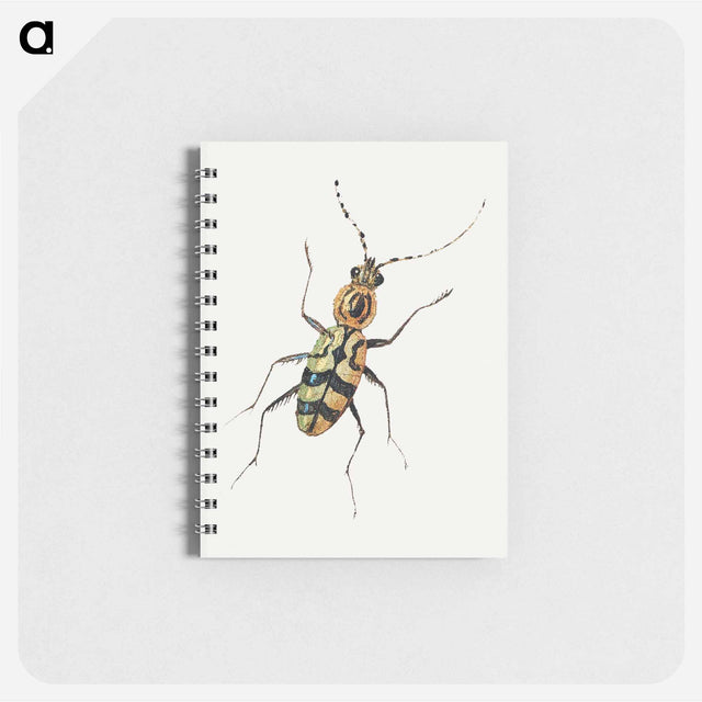 アートメモ帳-Insect from Insects and Fruits
 - ヤン ファン ケッセル Memo.