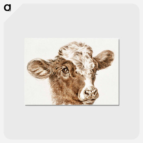 アートポストカード-Head of a cow - ジャン ベルナール Postcard.