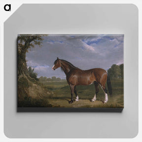 アートパネル-Clydesdale Stallion
 - ジョン フレデリック ヘリング Canvas.