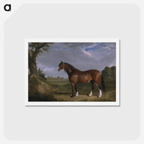 アートポストカード-Clydesdale Stallion
 - ジョン フレデリック ヘリング Postcard.