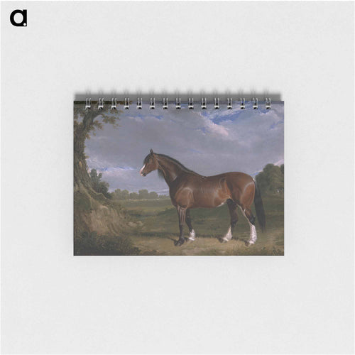 Clydesdale Stallion
 - ジョン フレデリック ヘリング Memo.