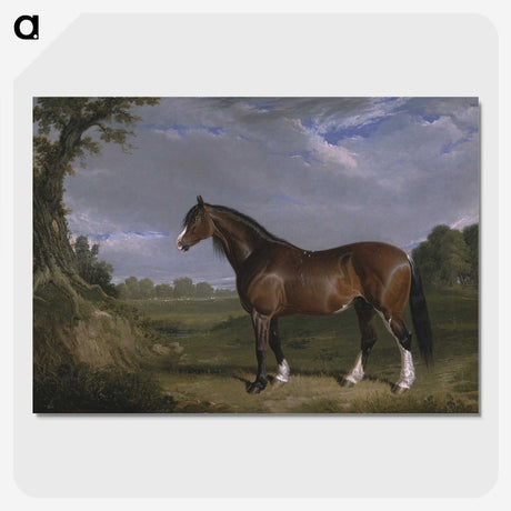 1-18_John-Frederick-Herring_picture-crop