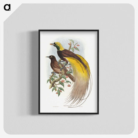 1-18_John-Gould_blk-crop