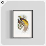 1-18_John-Gould_blk